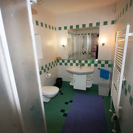 Holiday Ustrasice/südböhmen 31145 Tatil Evi Ustrasice